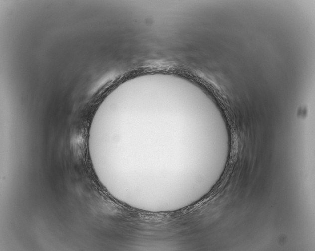 X0000092231254200709140935