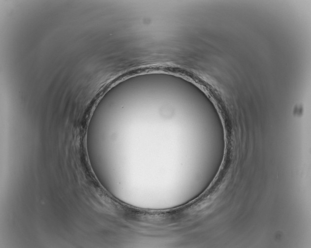 X0000092231257200709140935