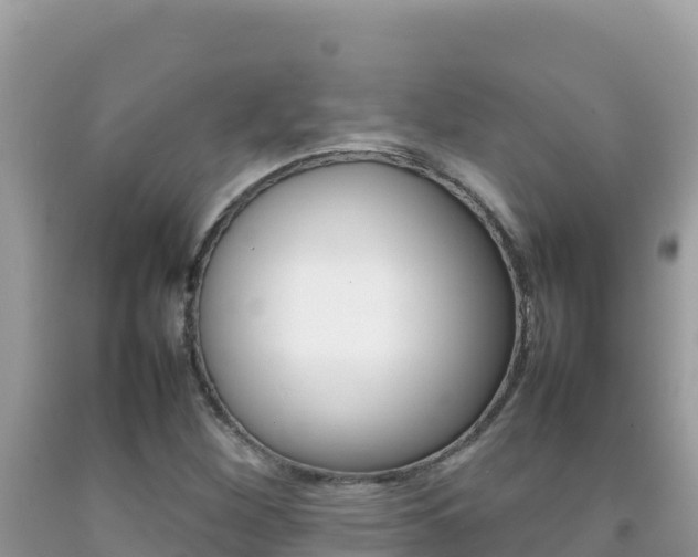 X0000092231260200709140934