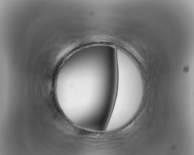 X0000092231261200709140934