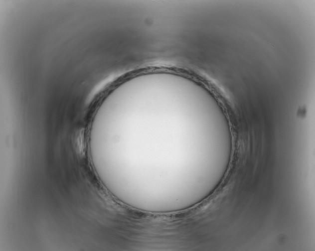 X0000092231262200709140934