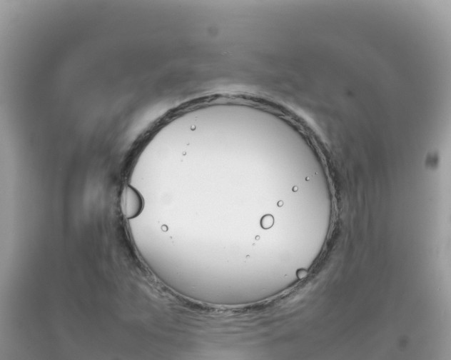 X0000092231263200709140934