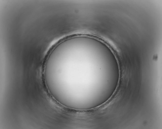 X0000092231264200709140934
