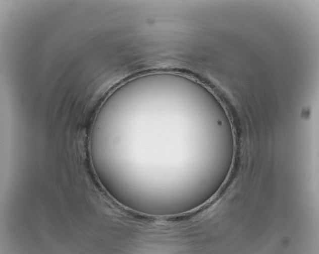 X0000092231265200709140934