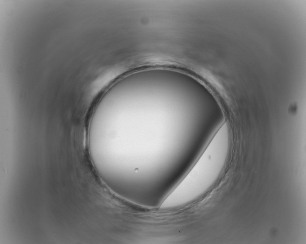 X0000092231269200709140934