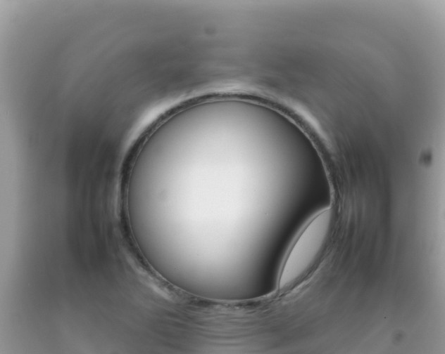X0000092231270200709140934