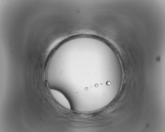 X0000092231271200709140934