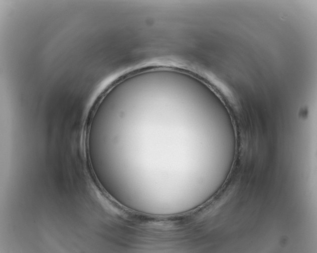 X0000092231272200709140934