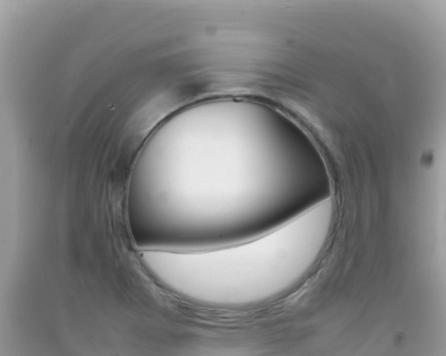 X0000092231273200709140934