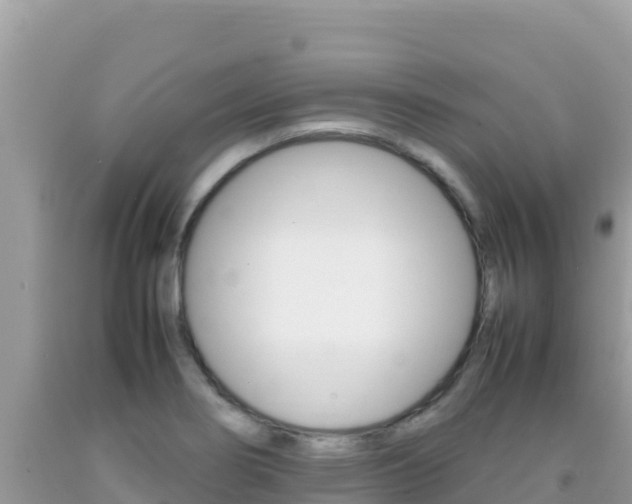 X0000092231274200709140934