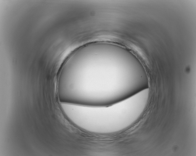 X0000092231275200709140934