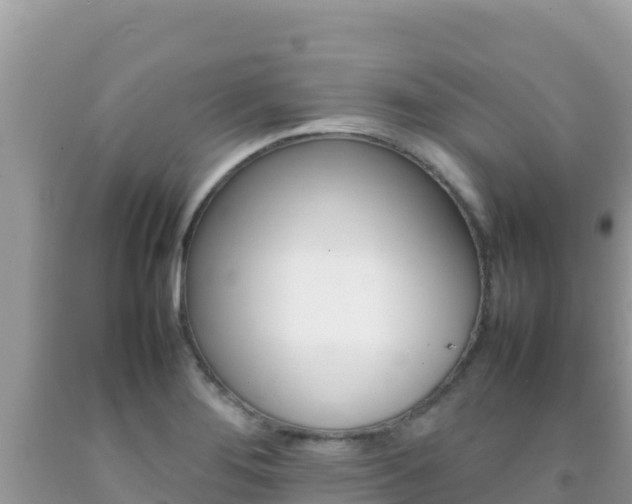 X0000092231276200709140934