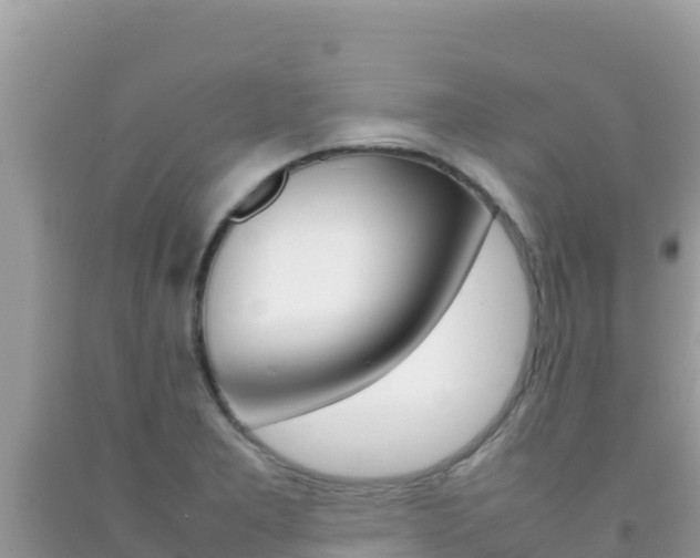 X0000092231277200709140934