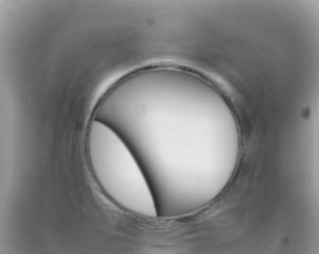 X0000092231279200709140934