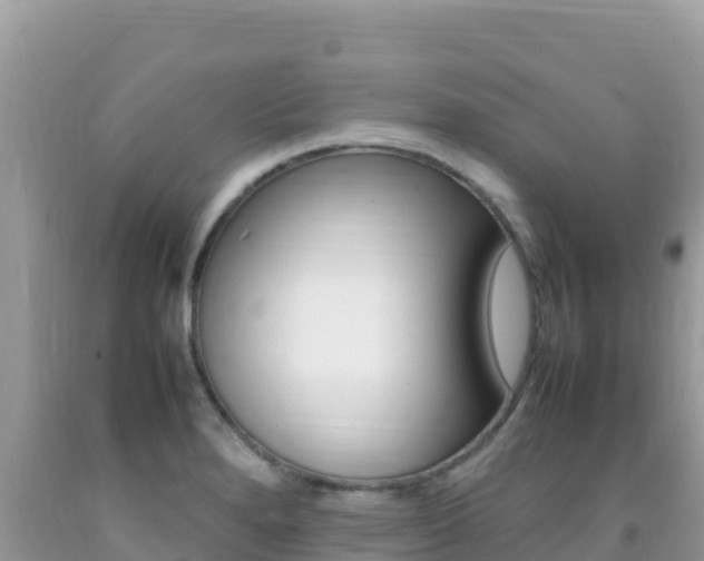 X0000092231280200709140934