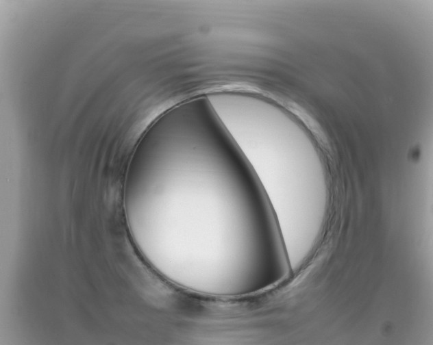 X0000092231281200709140934