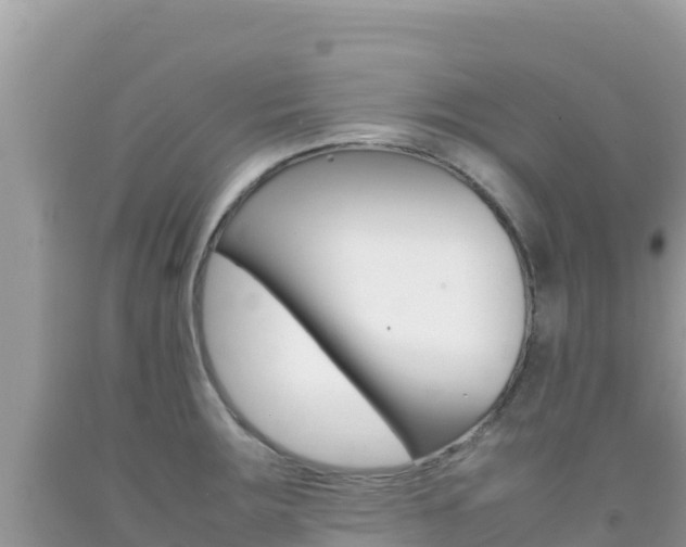 X0000092231283200709140934