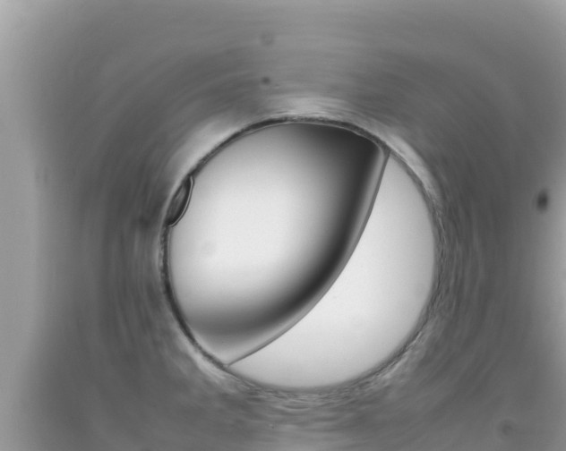 X0000092231285200709140934