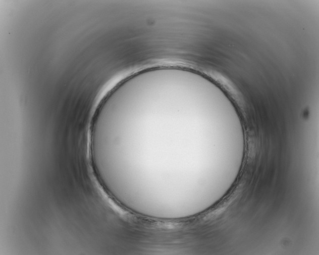 X0000092231286200709140934