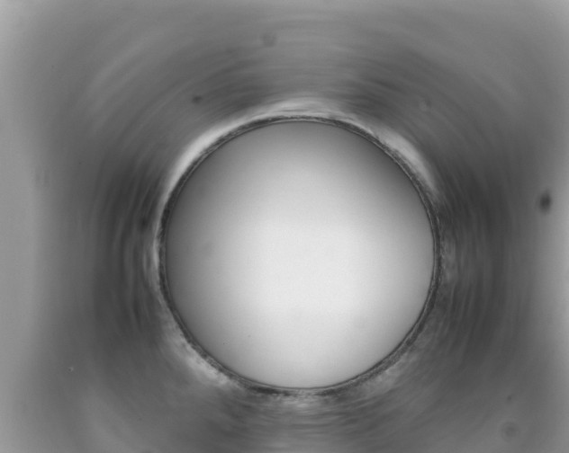 X0000092231288200709140934
