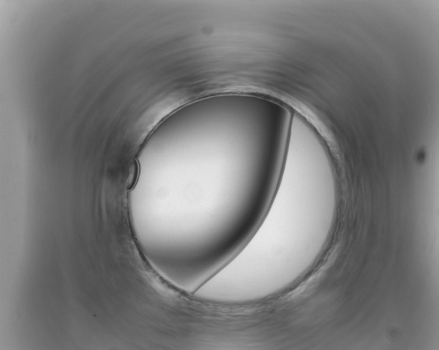 X0000092231289200709140934