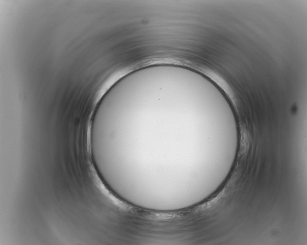 X0000092231290200709140934