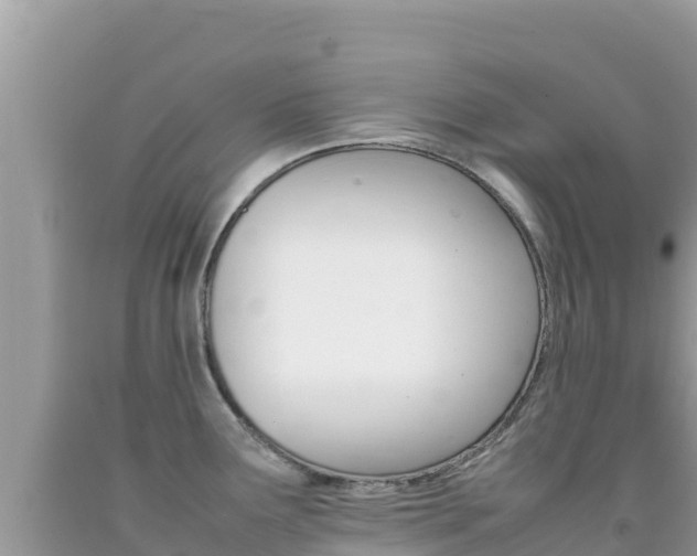 X0000092231291200709140934