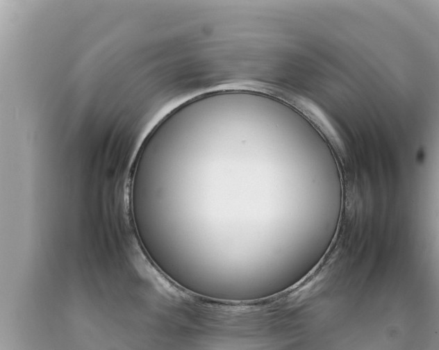 X0000092231292200709140934