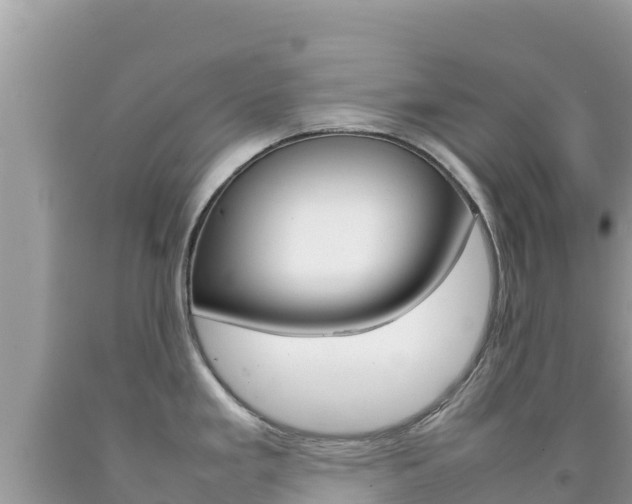 X0000092231293200709140934