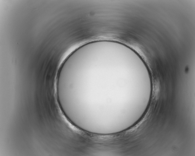 X0000092231294200709140934