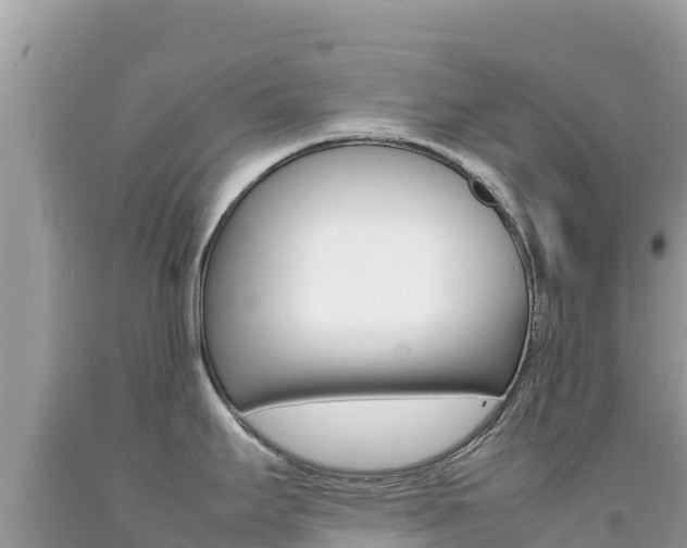 X0000092231295200709140934