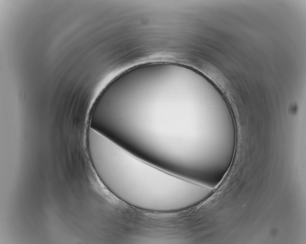 X0000092231296200709140934