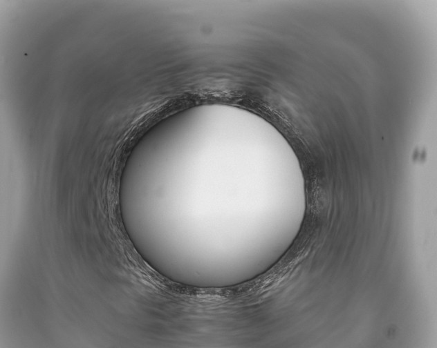 X0000092231297200709140933