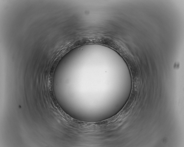 X0000092231298200709140933