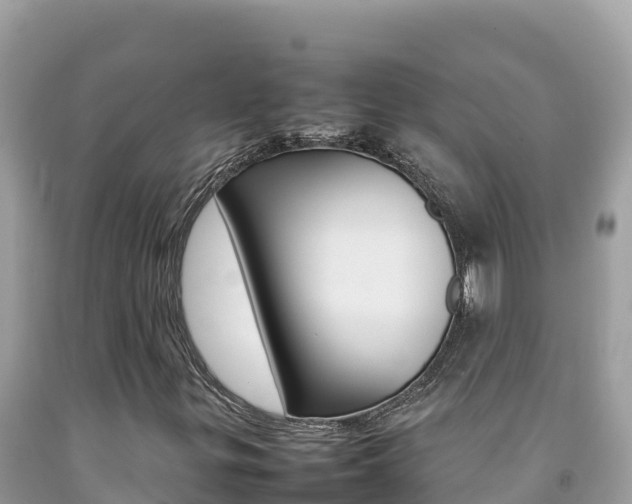 X0000092231299200709140933
