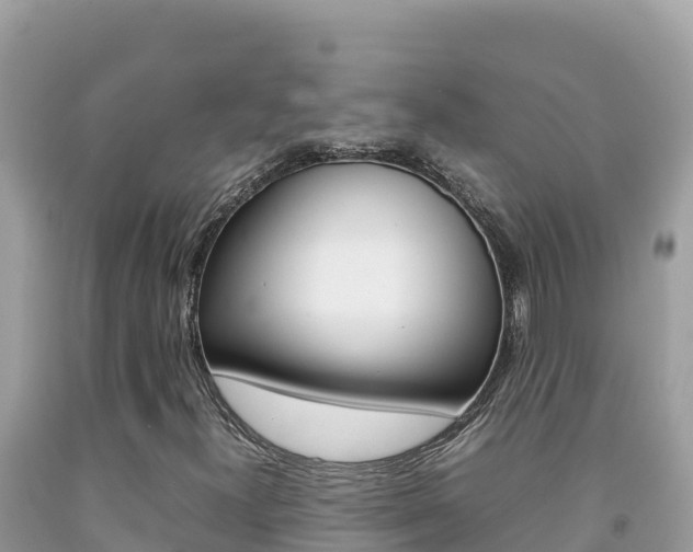 X0000092231300200709140933