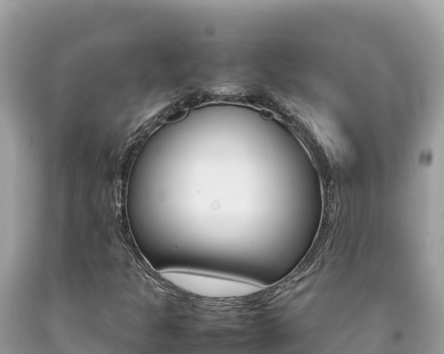 X0000092231301200709140933