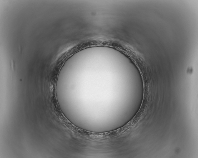 X0000092231302200709140933