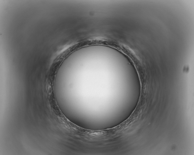X0000092231303200709140934