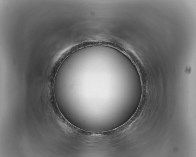X0000092231304200709140934