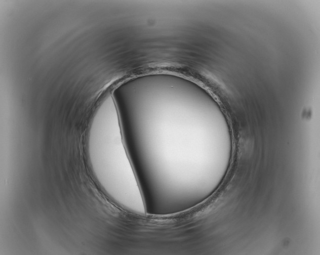 X0000092231305200709140934