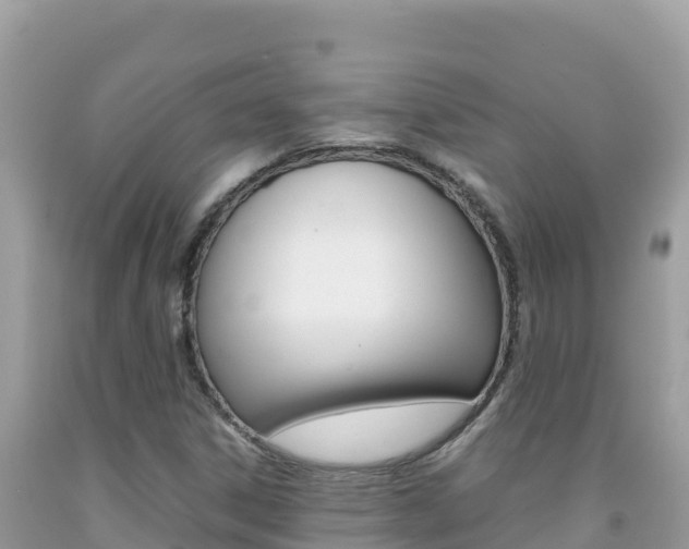 X0000092231306200709140934