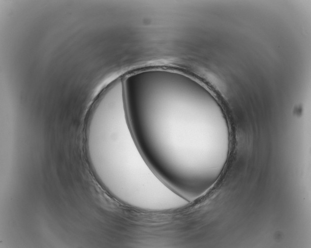 X0000092231308200709140934