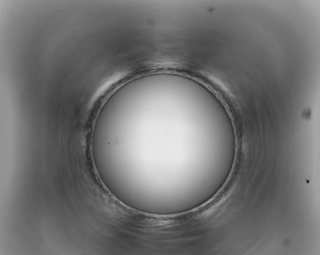 X0000092231309200709140934