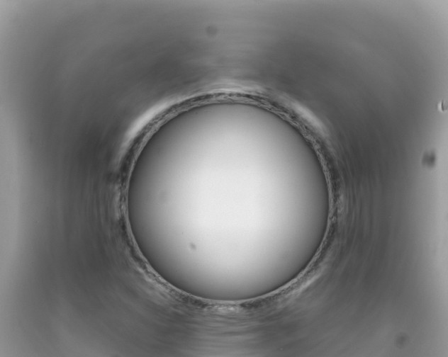 X0000092231310200709140934