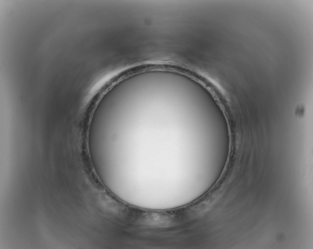 X0000092231311200709140934