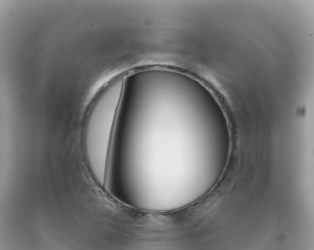 X0000092231312200709140934