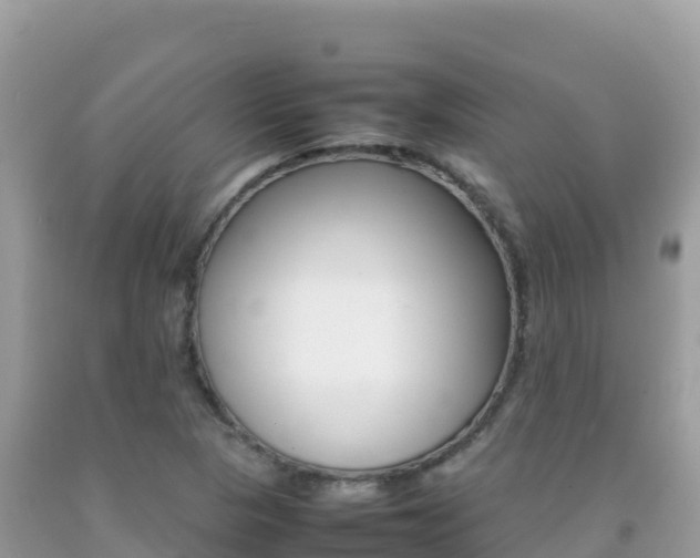 X0000092231313200709140934