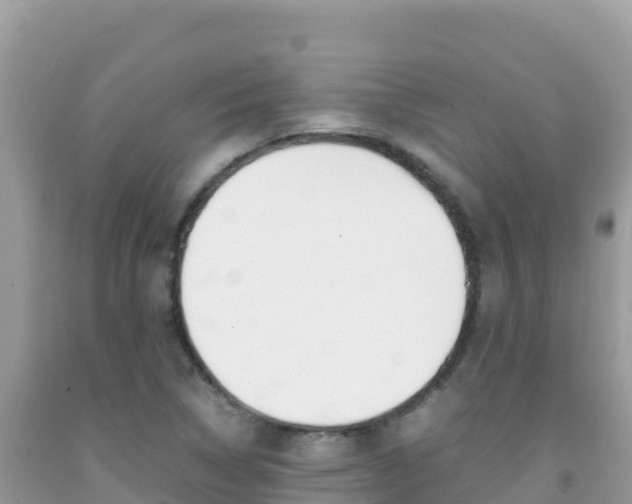 X0000092231314200709140934