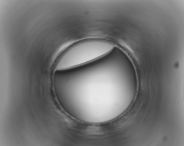 X0000092231315200709140934